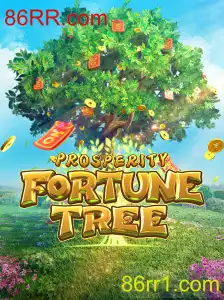 Explorando o Mundo de ProsperityFortuneTree e 86RR.com