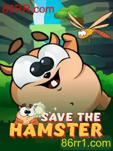 SavetheHamster: Um Novo Jogo Instigante no 86RR.com